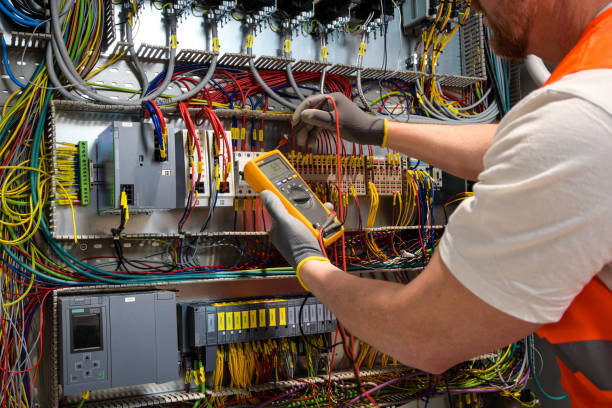 Best Electric Panel Repair  in Bayou Gauche, LA